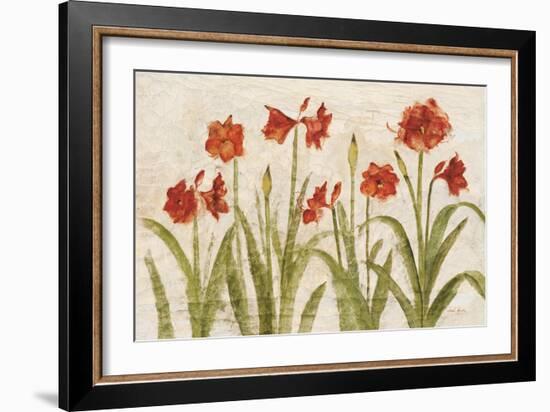 Row of Red Amaryllis Light-Cheri Blum-Framed Art Print