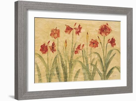 Row of Red Amaryllis-Cheri Blum-Framed Premium Giclee Print