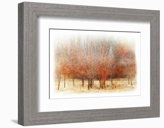 Row of Red Trees-Chris Vest-Framed Photographic Print