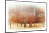 Row of Red Trees-Chris Vest-Mounted Photographic Print