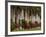 Row of Stately Cuban Royal Palms, Bougainvilleas Flowers, Miami, Florida, USA-Adam Jones-Framed Photographic Print