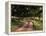 Row of Trees and Country Lane at Dawn, Bluegrass Region, Kentucky, USA-Adam Jones-Framed Premier Image Canvas