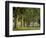 Row of Trees and Fences at Sunrise, Kentucky Horse Park, Lexington, Kentucky, USA-Adam Jones-Framed Photographic Print
