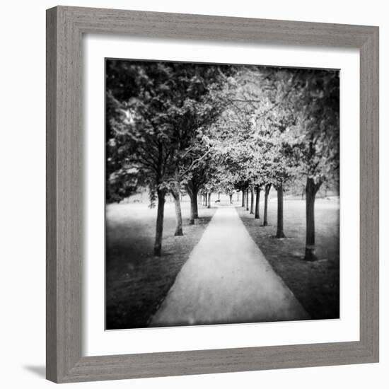 Row of Trees in a Park-Craig Roberts-Framed Photographic Print