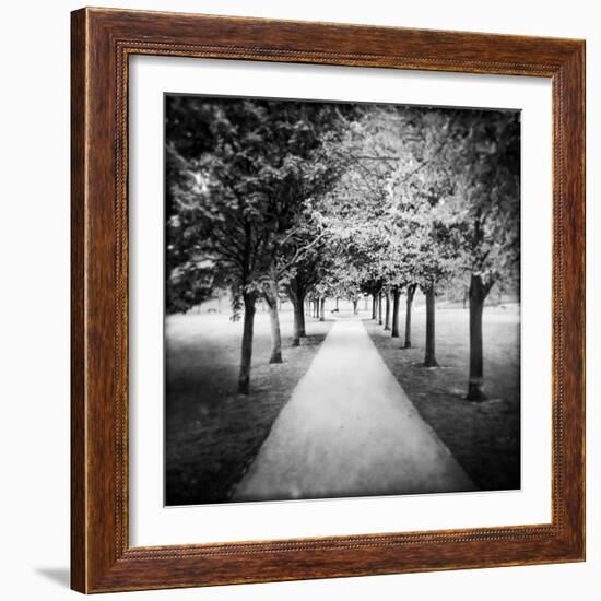 Row of Trees in a Park-Craig Roberts-Framed Photographic Print