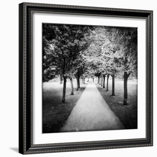 Row of Trees in a Park-Craig Roberts-Framed Photographic Print