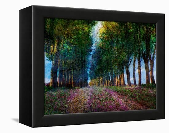 Row of Trees Provence-Chris Vest-Framed Stretched Canvas