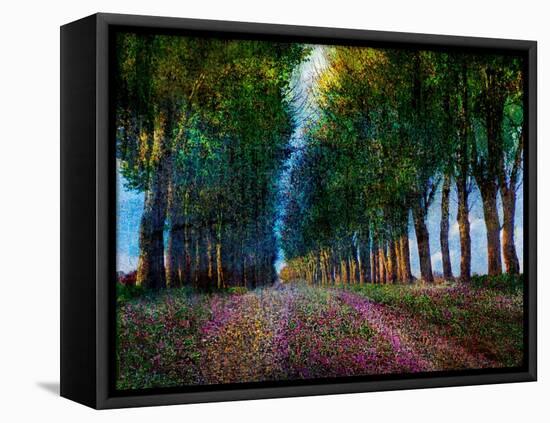Row of Trees Provence-Chris Vest-Framed Stretched Canvas