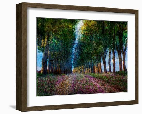 Row of Trees Provence-Chris Vest-Framed Art Print