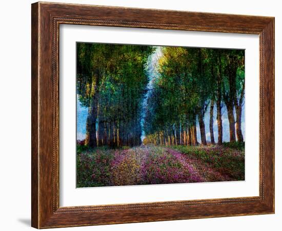 Row of Trees Provence-Chris Vest-Framed Art Print