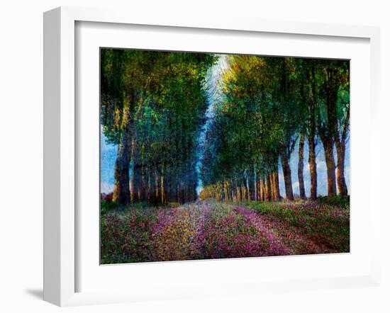 Row of Trees Provence-Chris Vest-Framed Art Print