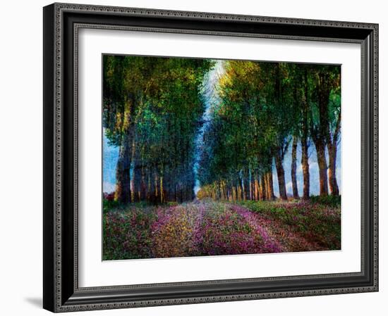 Row of Trees Provence-Chris Vest-Framed Art Print