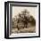 Row of Trees-Harold Silverman-Framed Art Print