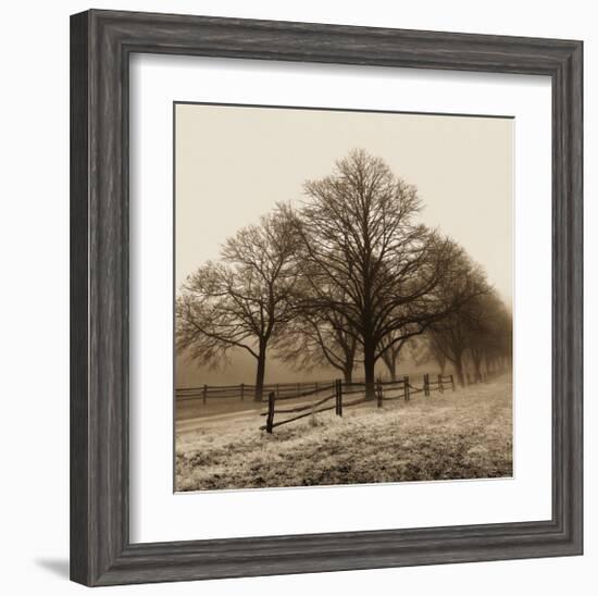 Row of Trees-Harold Silverman-Framed Art Print