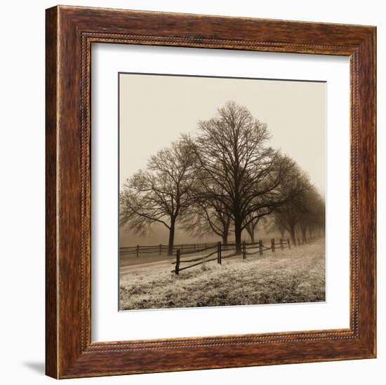 Row of Trees-Harold Silverman-Framed Art Print