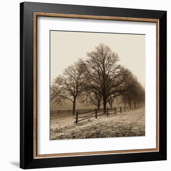 Row of Trees-Harold Silverman-Framed Art Print
