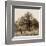 Row of Trees-Harold Silverman-Framed Art Print