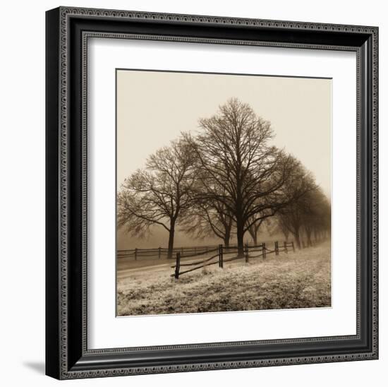 Row of Trees-Harold Silverman-Framed Art Print