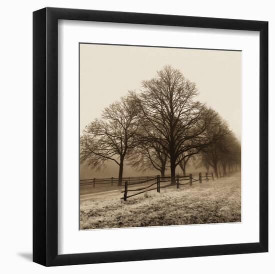 Row of Trees-Harold Silverman-Framed Art Print