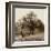 Row of Trees-Harold Silverman-Framed Art Print