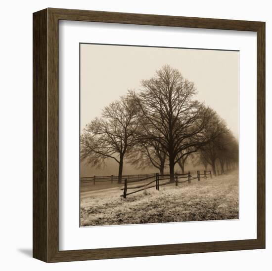 Row of Trees-Harold Silverman-Framed Art Print