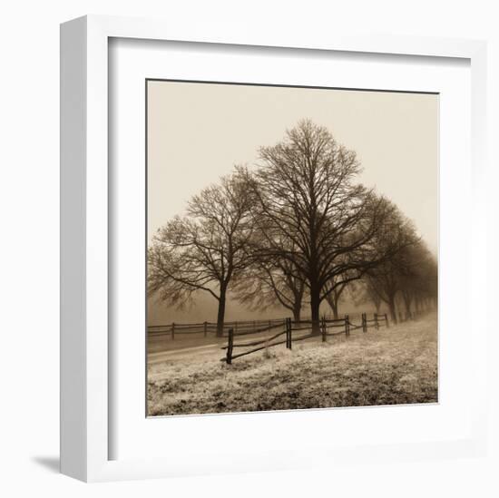 Row of Trees-Harold Silverman-Framed Art Print