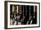 Row of Vintage Wine Bottles in a Wine Cellar (Shallow Dof; Color Toned Image)-l i g h t p o e t-Framed Photographic Print