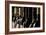 Row of Vintage Wine Bottles in a Wine Cellar (Shallow Dof; Color Toned Image)-l i g h t p o e t-Framed Photographic Print