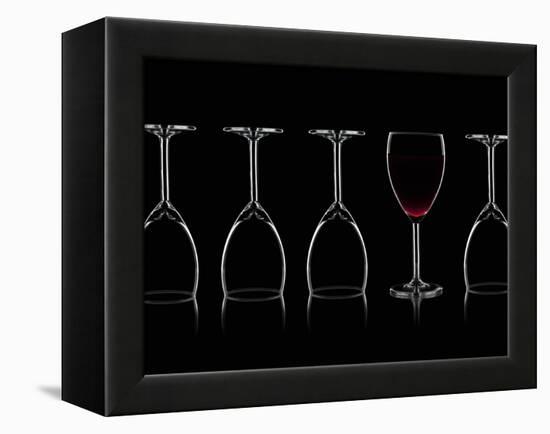 Row of Wine Glasses and a Glass of Red Wine Against a Black Background-Shawn Hempel-Framed Premier Image Canvas