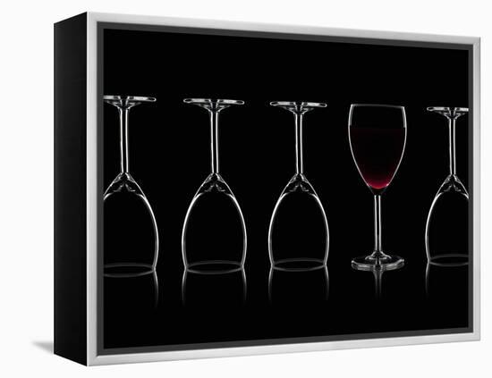 Row of Wine Glasses and a Glass of Red Wine Against a Black Background-Shawn Hempel-Framed Premier Image Canvas