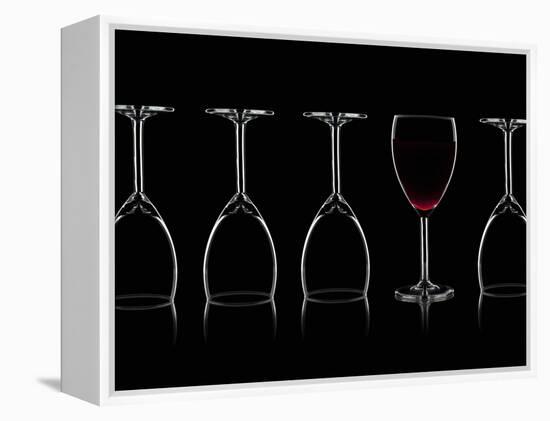 Row of Wine Glasses and a Glass of Red Wine Against a Black Background-Shawn Hempel-Framed Premier Image Canvas