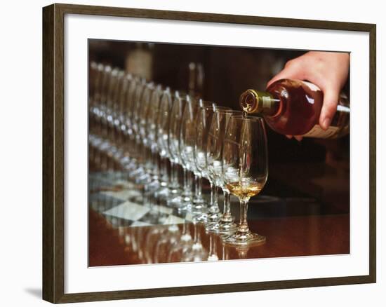 Row of Wine Tasting Glasses, Chateau La Tour Blanche, Sauternes-Per Karlsson-Framed Photographic Print