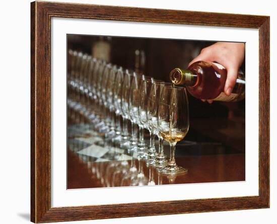 Row of Wine Tasting Glasses, Chateau La Tour Blanche, Sauternes-Per Karlsson-Framed Photographic Print