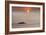 Row,Row,Row Your Boat-Adrian Campfield-Framed Photographic Print