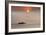 Row,Row,Row Your Boat-Adrian Campfield-Framed Photographic Print