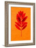 Rowan Leaves-Graeme Harris-Framed Giclee Print