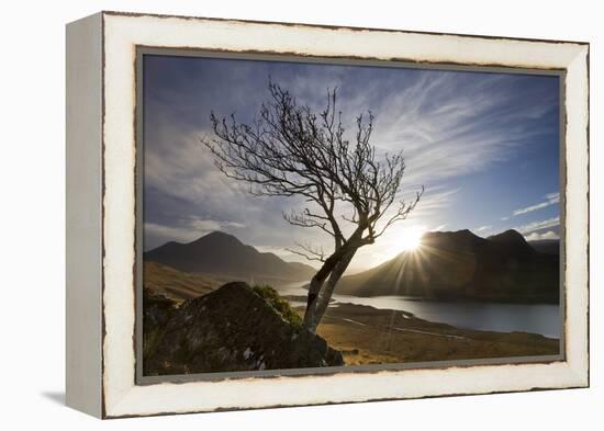 Rowan Tree Silhouetted Above Loch Lurgainn with Cul Mor (Left) and Ben More Coigach Beyond, UK-Mark Hamblin-Framed Premier Image Canvas