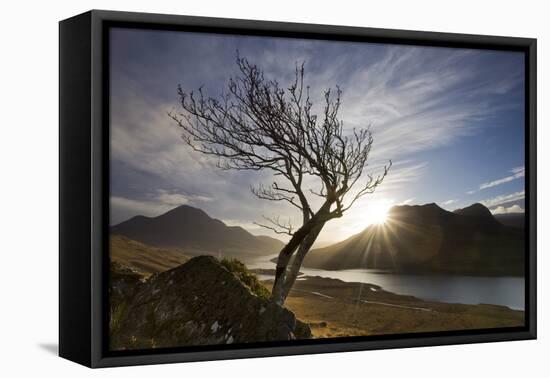 Rowan Tree Silhouetted Above Loch Lurgainn with Cul Mor (Left) and Ben More Coigach Beyond, UK-Mark Hamblin-Framed Premier Image Canvas