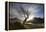Rowan Tree Silhouetted Above Loch Lurgainn with Cul Mor (Left) and Ben More Coigach Beyond, UK-Mark Hamblin-Framed Premier Image Canvas