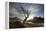 Rowan Tree Silhouetted Above Loch Lurgainn with Cul Mor (Left) and Ben More Coigach Beyond, UK-Mark Hamblin-Framed Premier Image Canvas