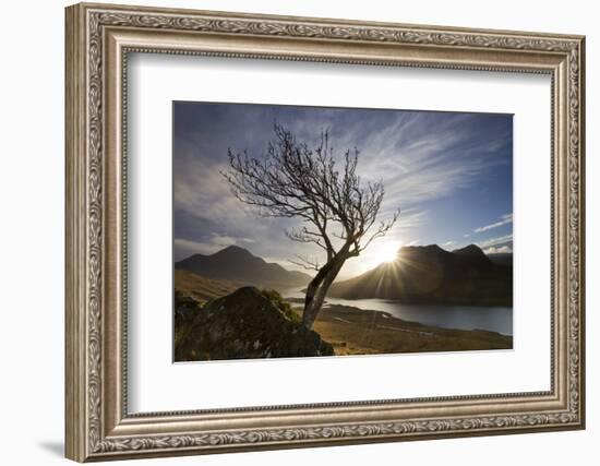 Rowan Tree Silhouetted Above Loch Lurgainn with Cul Mor (Left) and Ben More Coigach Beyond, UK-Mark Hamblin-Framed Photographic Print