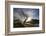 Rowan Tree Silhouetted Above Loch Lurgainn with Cul Mor (Left) and Ben More Coigach Beyond, UK-Mark Hamblin-Framed Photographic Print