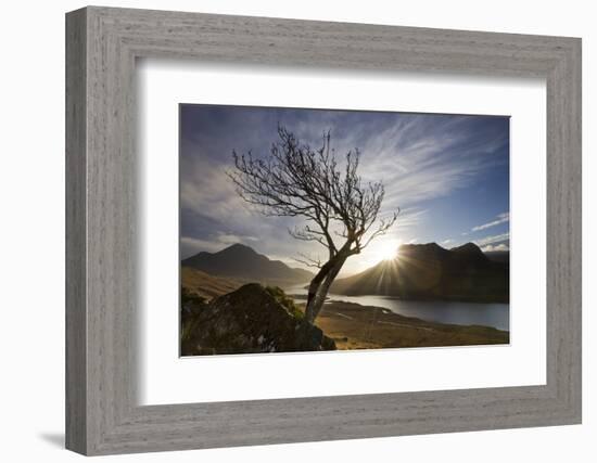 Rowan Tree Silhouetted Above Loch Lurgainn with Cul Mor (Left) and Ben More Coigach Beyond, UK-Mark Hamblin-Framed Photographic Print