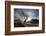 Rowan Tree Silhouetted Above Loch Lurgainn with Cul Mor (Left) and Ben More Coigach Beyond, UK-Mark Hamblin-Framed Photographic Print