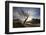 Rowan Tree Silhouetted Above Loch Lurgainn with Cul Mor (Left) and Ben More Coigach Beyond, UK-Mark Hamblin-Framed Photographic Print