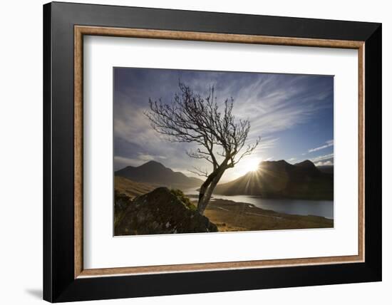 Rowan Tree Silhouetted Above Loch Lurgainn with Cul Mor (Left) and Ben More Coigach Beyond, UK-Mark Hamblin-Framed Photographic Print