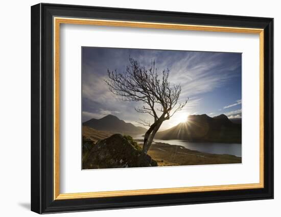 Rowan Tree Silhouetted Above Loch Lurgainn with Cul Mor (Left) and Ben More Coigach Beyond, UK-Mark Hamblin-Framed Photographic Print