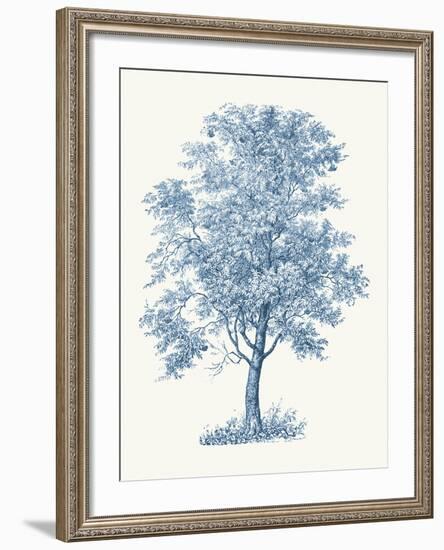 Rowan-Maria Mendez-Framed Giclee Print