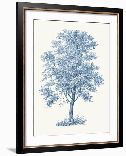 Rowan-Maria Mendez-Framed Giclee Print