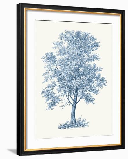 Rowan-Maria Mendez-Framed Giclee Print